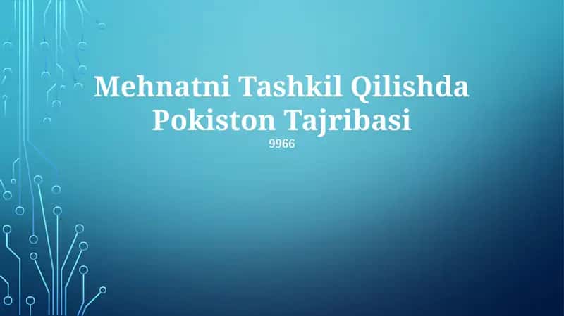 Mehnatni Tashkil Qilishda Pokiston Tajribasi