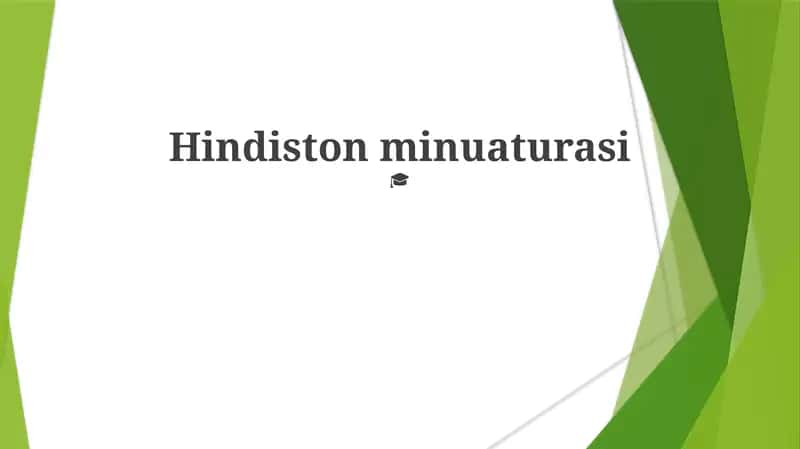 Hindiston minuaturasi