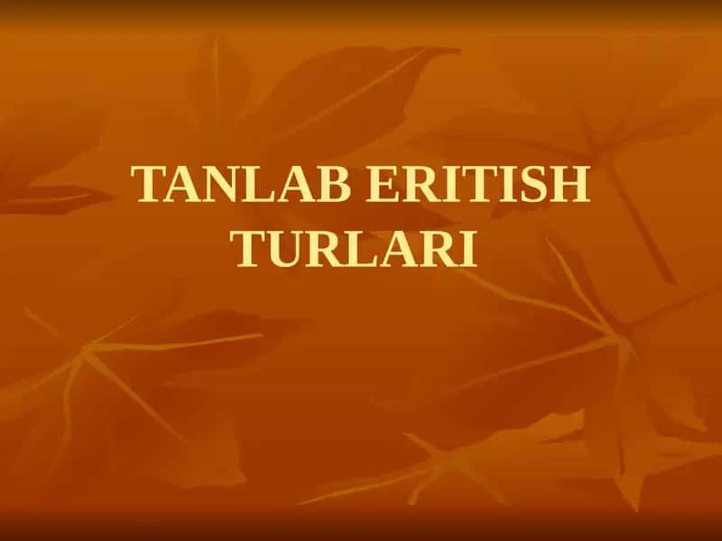 TANLAB ERITISH TURLARI
