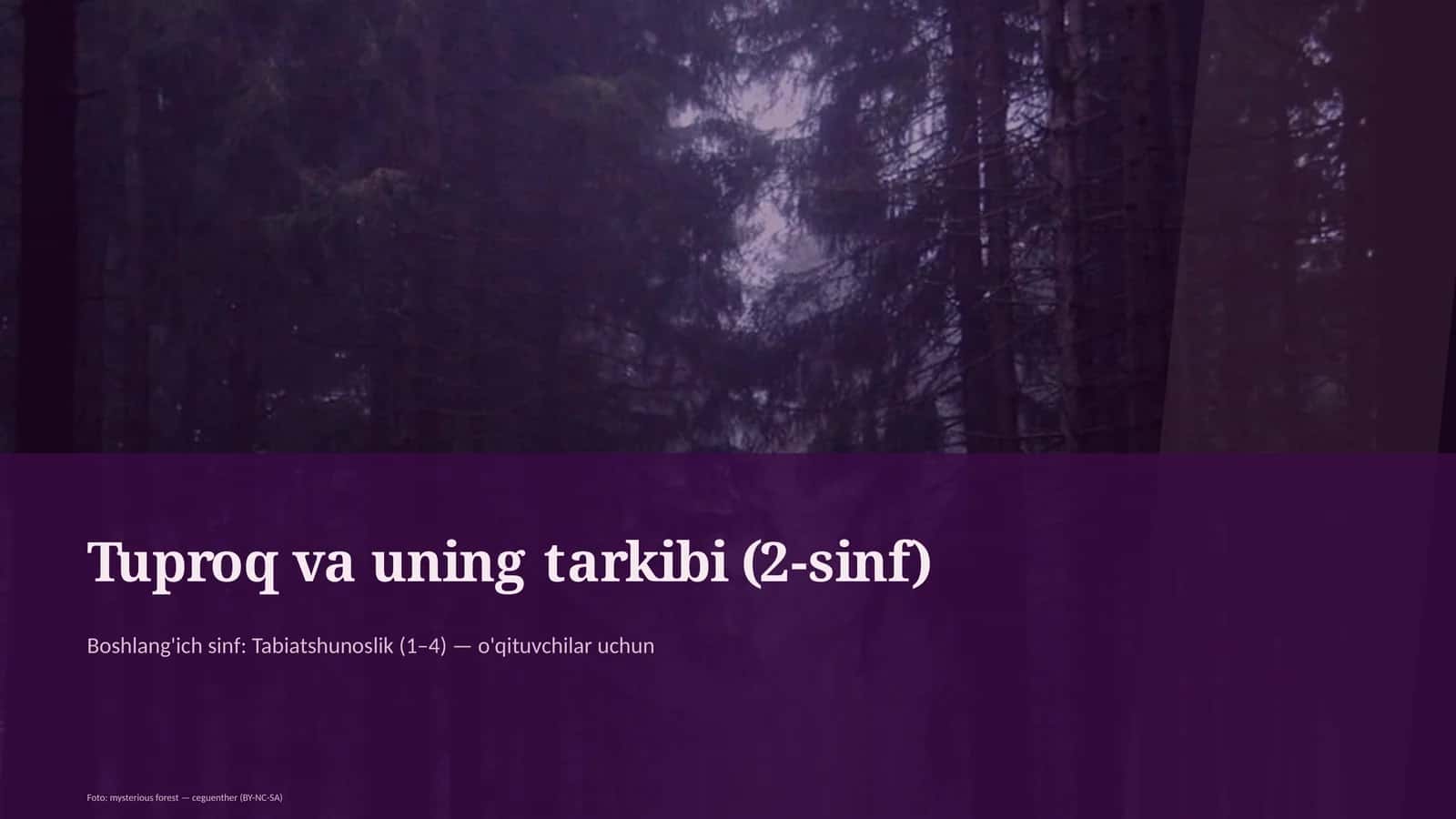Tuproq va uning tarkibi (2-sinf)