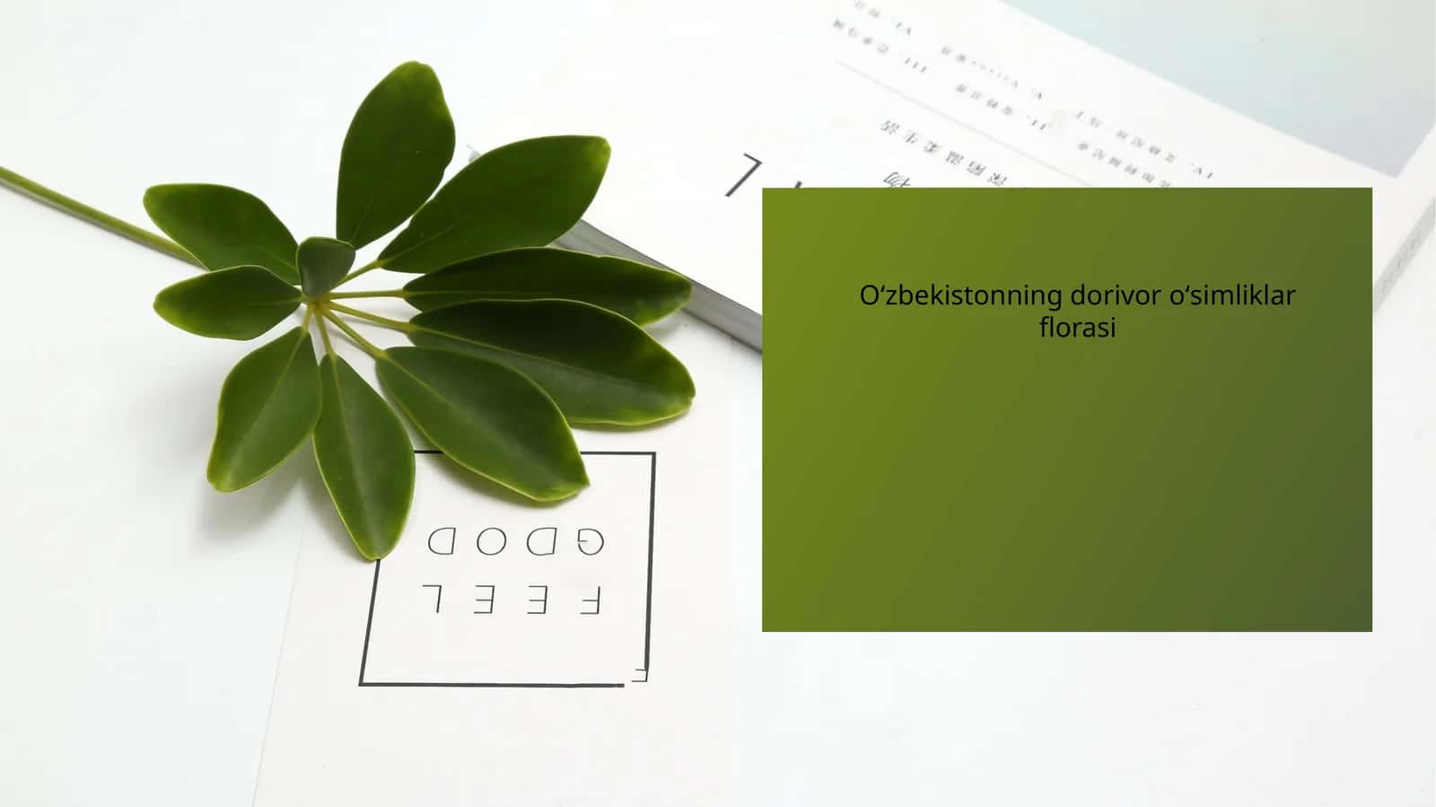 Oʻzbekistonning dorivor oʻsimliklar florasi