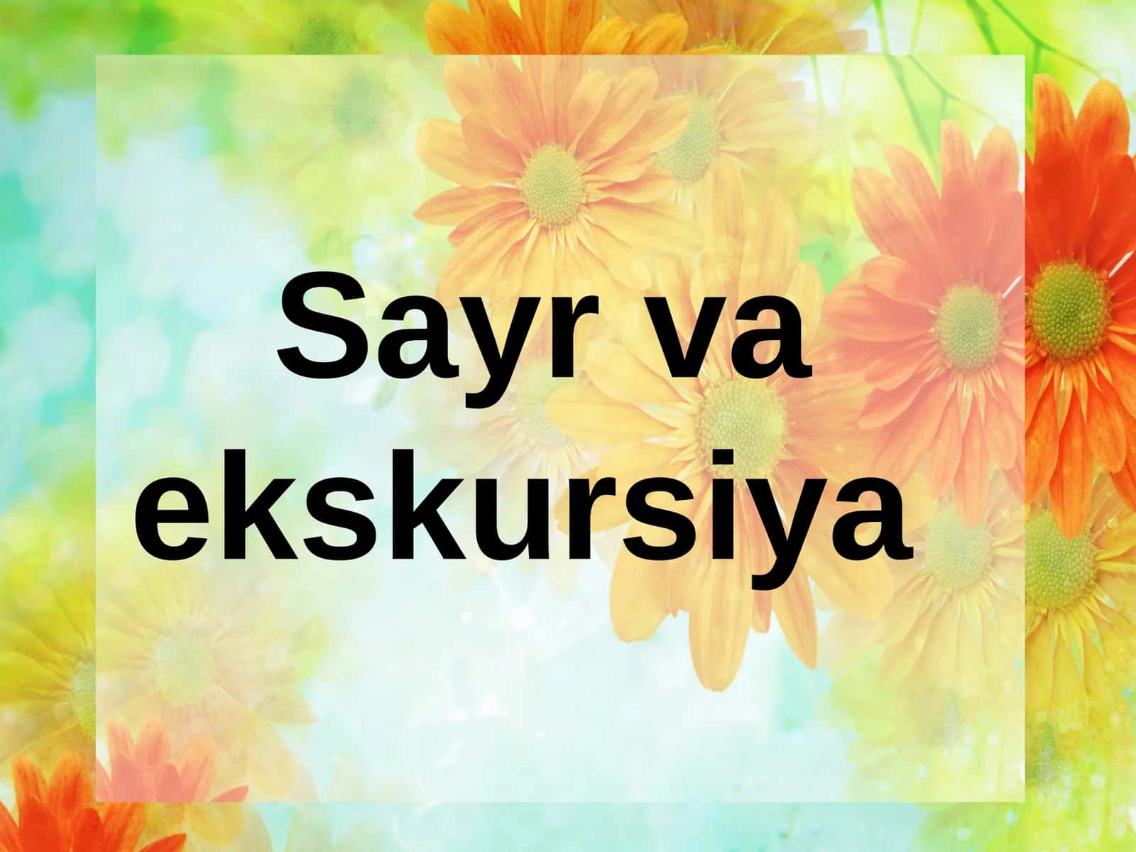 Sayr va ekskursiya