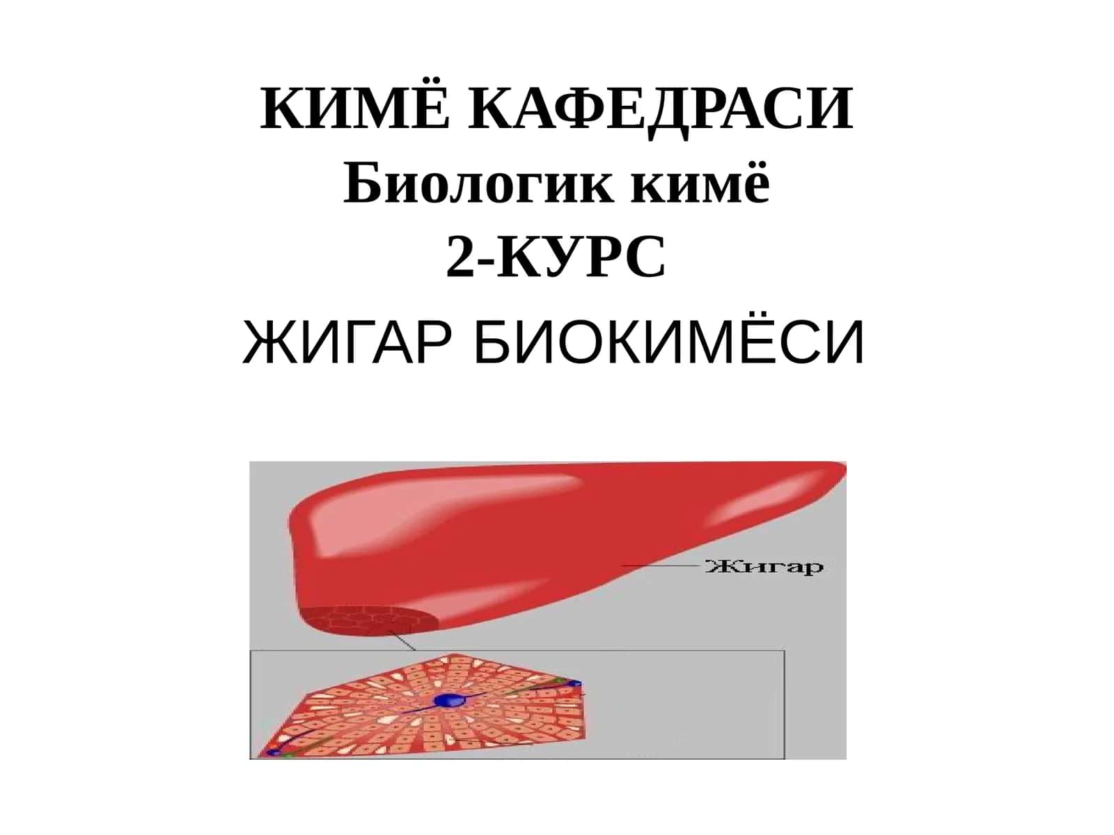 БИООРГАНИК ВА БИОЛОГИККИМЁ КАФЕДРАСИБиологик кимё2-КУРСЖИГАР БИОКИМЁСИ