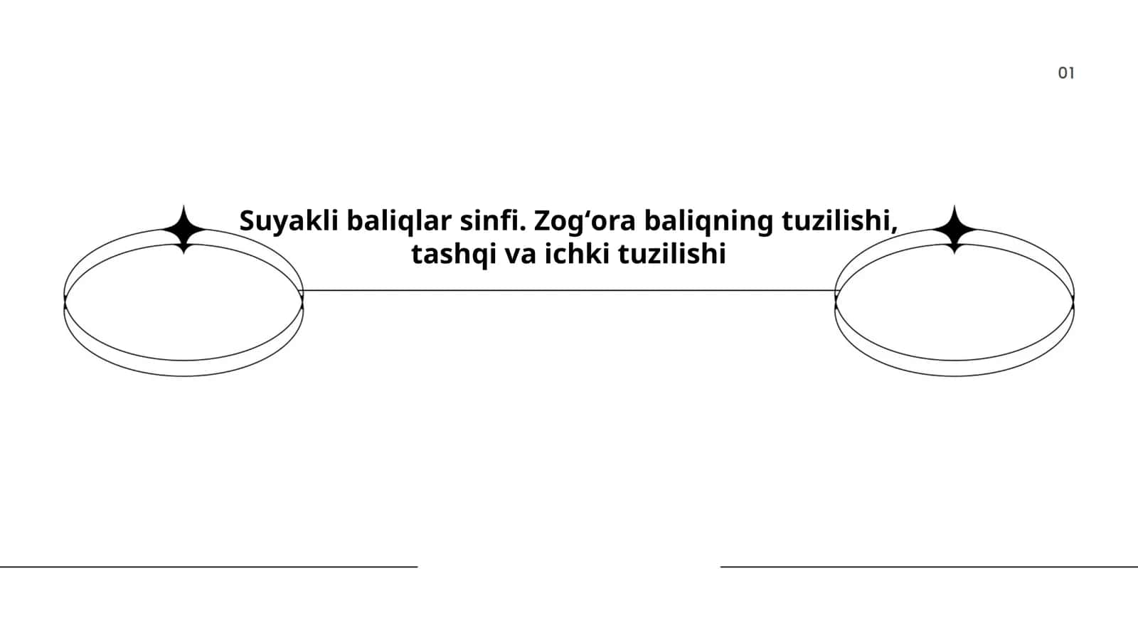 Suyakli baliqlar sinfi