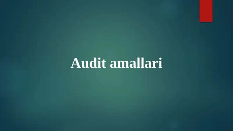 Audit amallari