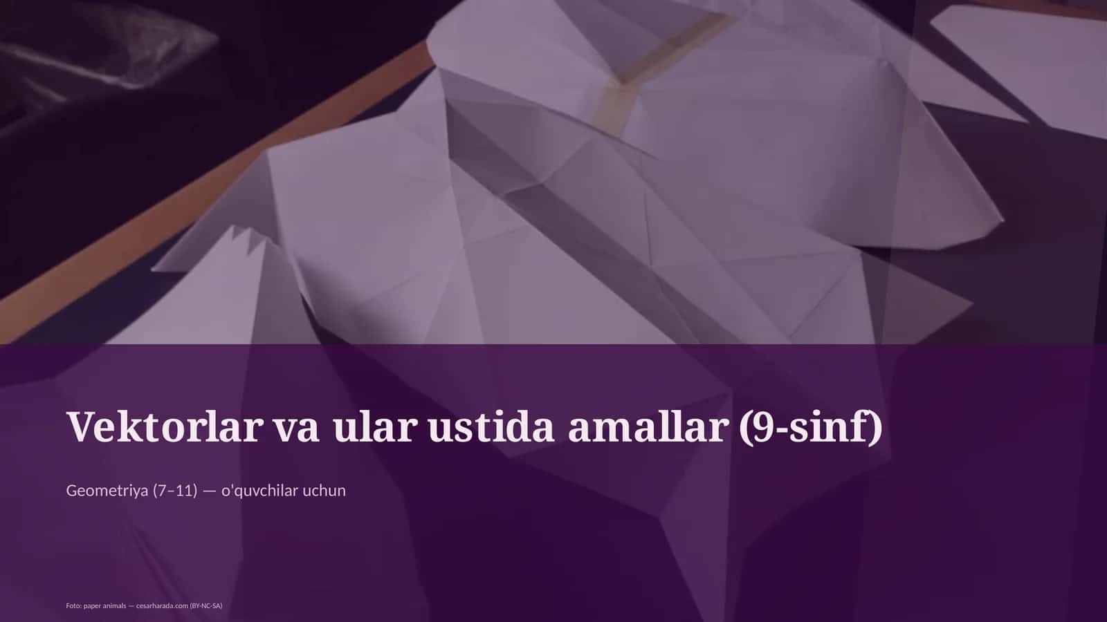 Vektorlar va ular ustida amallar (9-sinf)