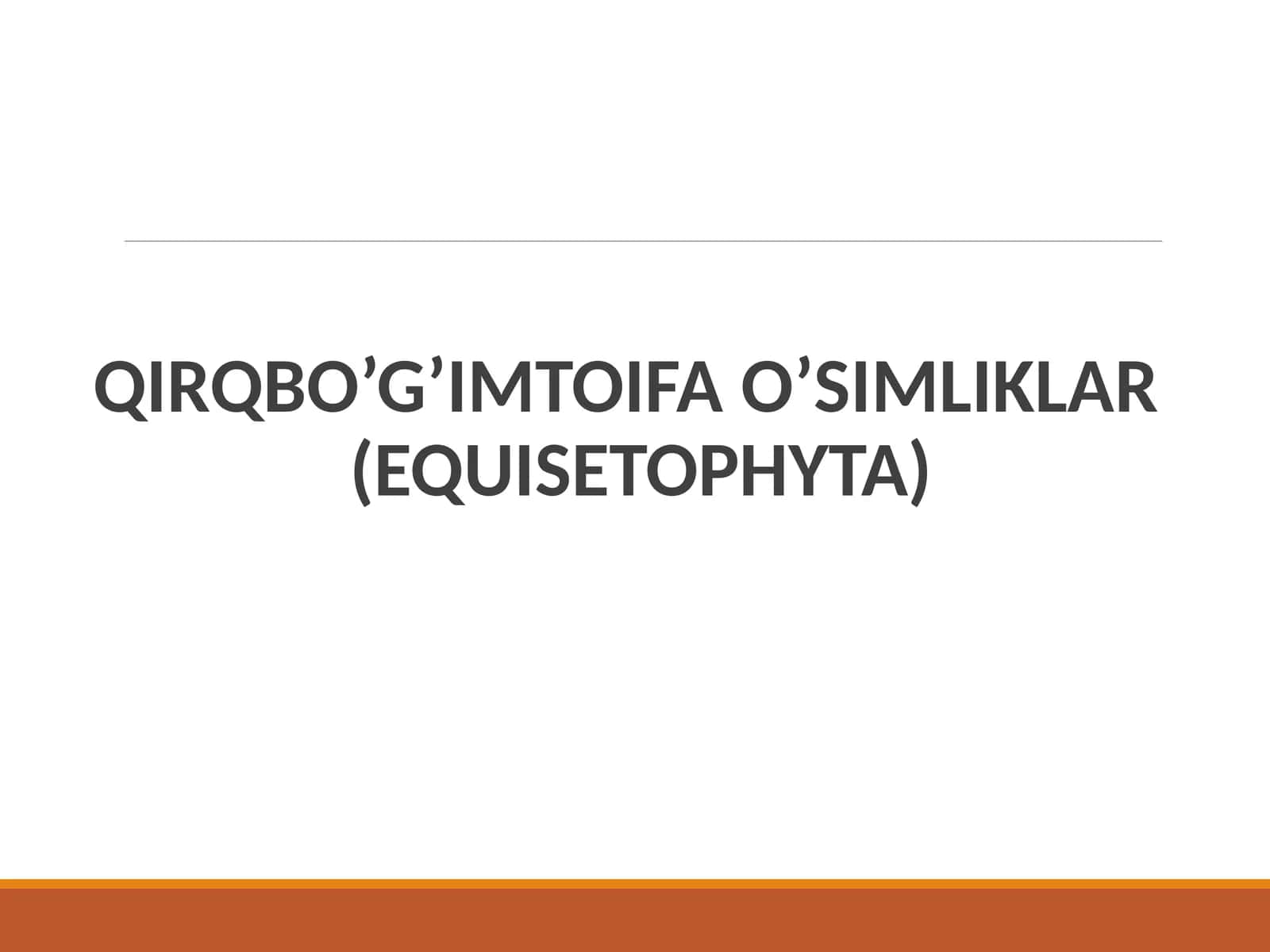 Qirq  bo’g’im  toifa  o’simliklar  (EQUISETOPHYTA)