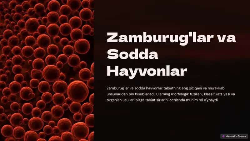 Zamburug'lar va Sodda Hayvonlar