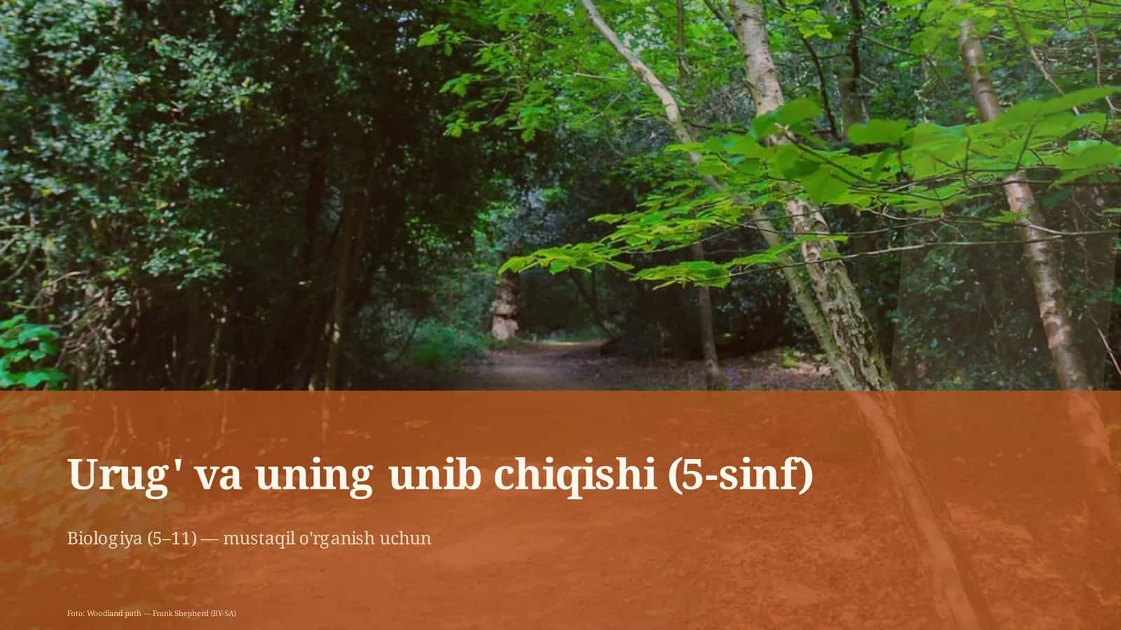 Urug' va uning unib chiqishi (5-sinf)