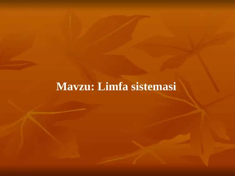 Limfa sistemasi. Slayd