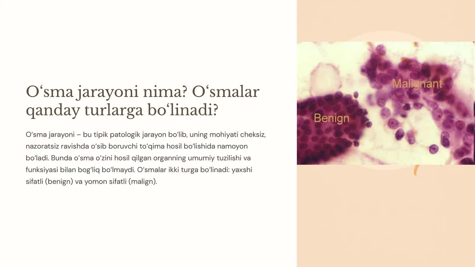 O‘sma jarayoni