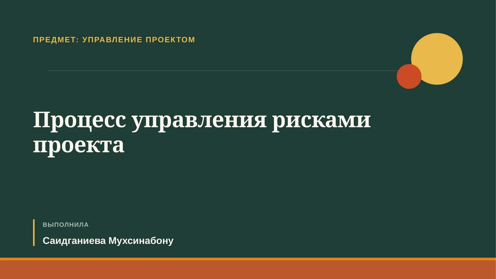 Процесс управления рисками проекта
