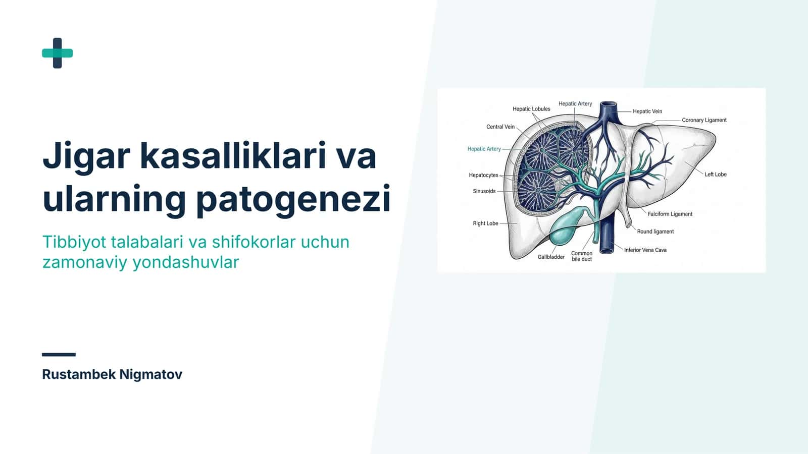 Jigar kasalliklari va ularning patogenezi | 15 slayd