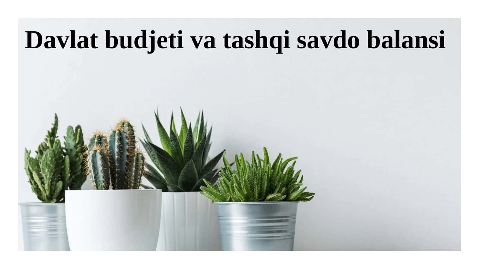 Davlat budjeti va tashqi savdo balansi