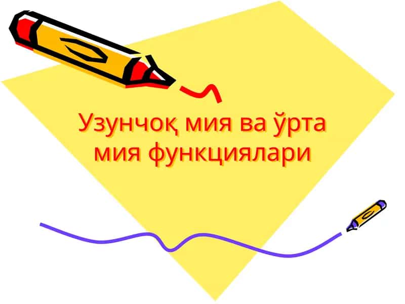 Узунчоқ мия ва ўрта мия функциялари