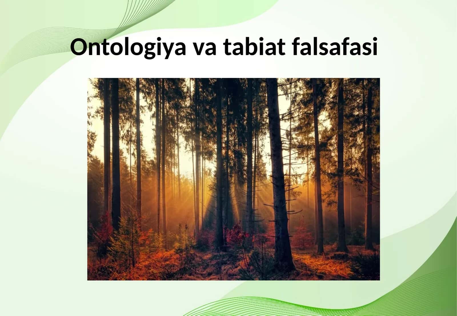 Ontologiya va tabiat falsafasi