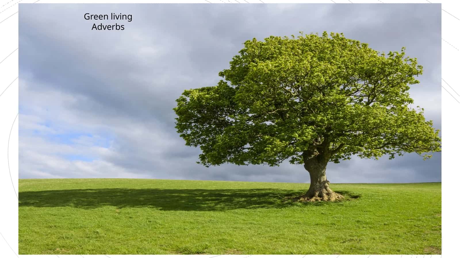 Green livingAdverbs
