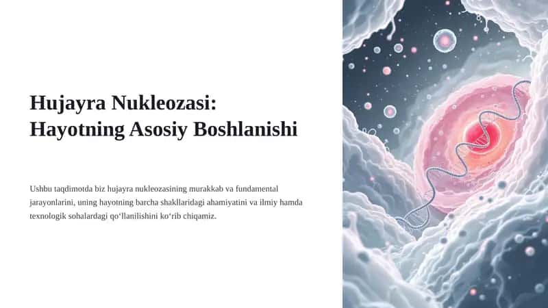 Hujayra Nukleozasi: Hayotning Asosiy Boshlanishi