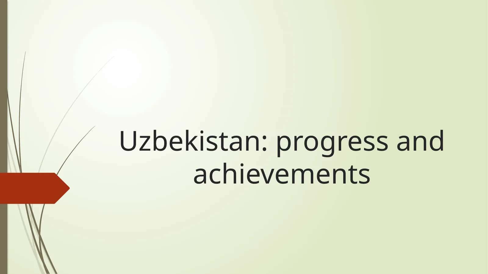Uzbekistan: progress and achievements