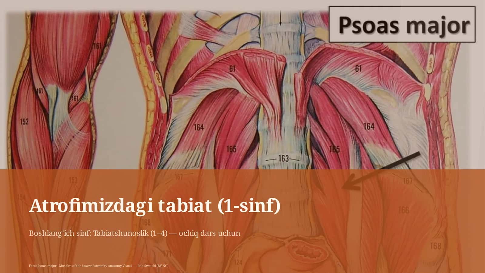 Atrofimizdagi tabiat (1-sinf)
