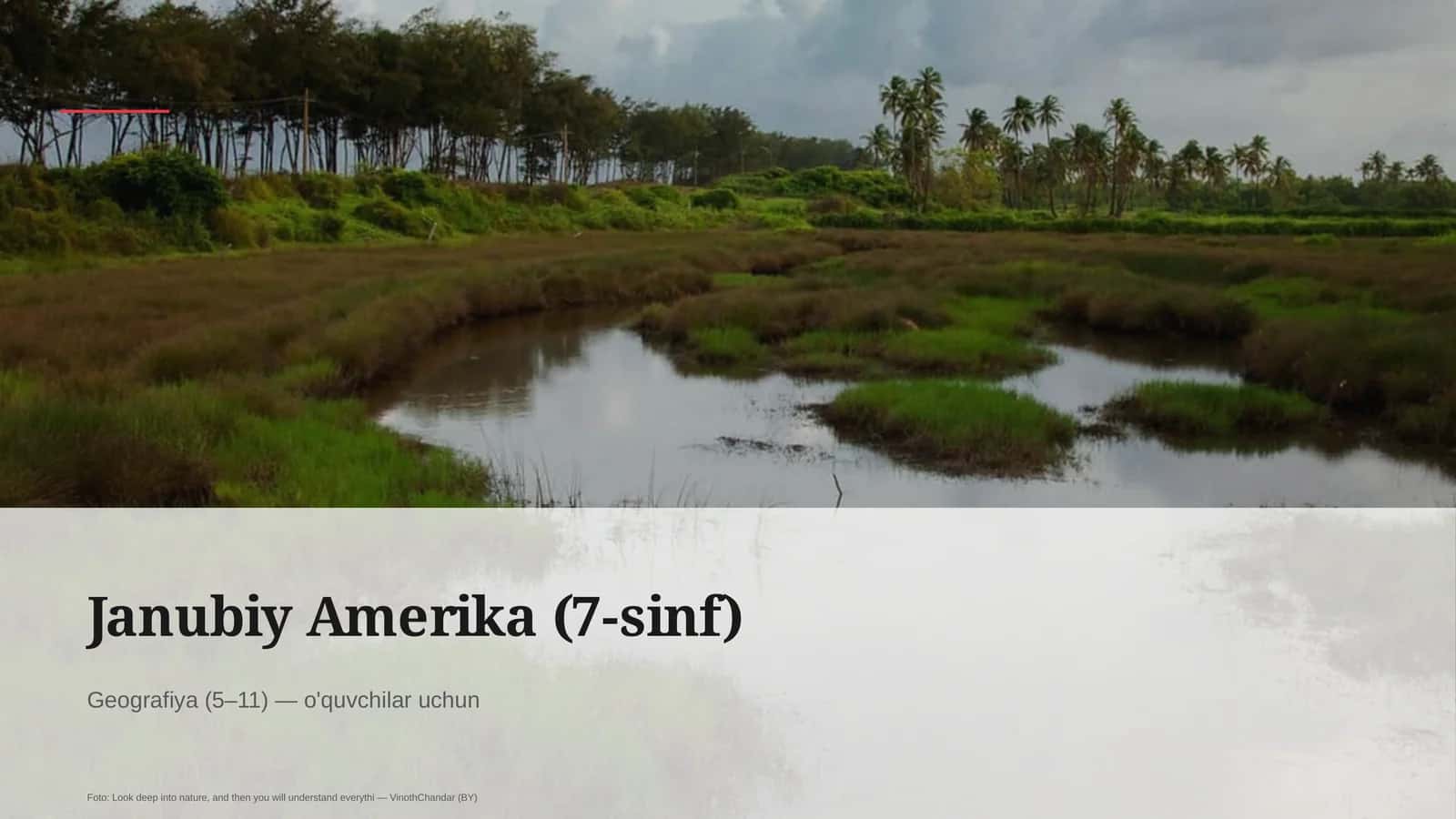 Janubiy Amerika (7-sinf)