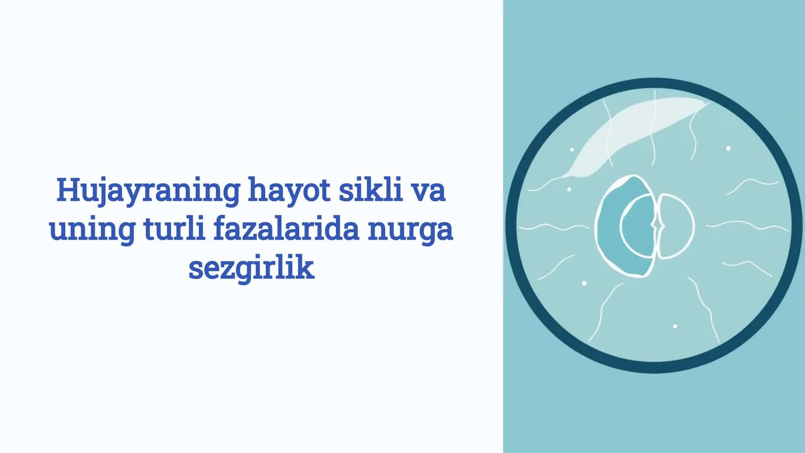 Hujayraning hayot sikli va uning turli fazalarida nurga sezgirlik