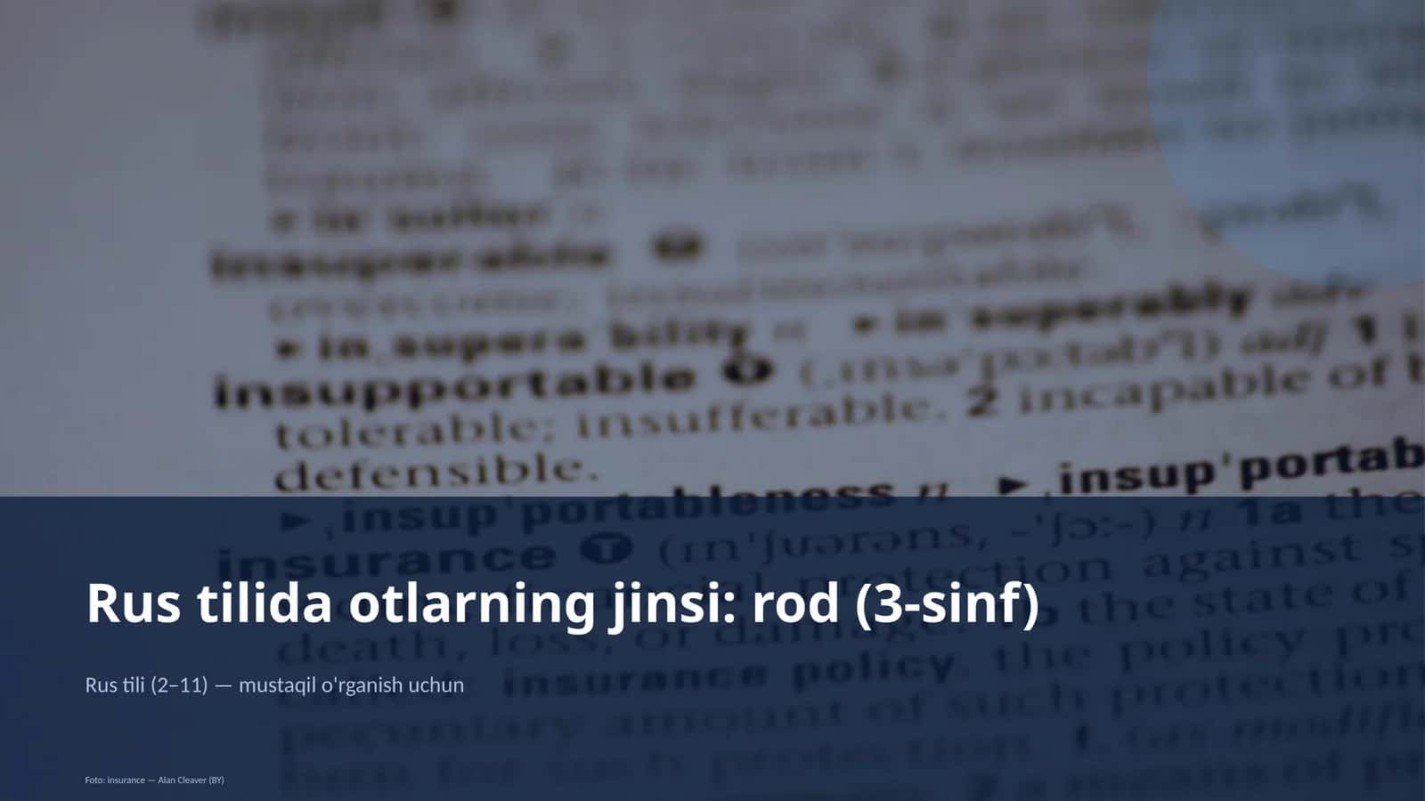 Rus tilida otlarning jinsi: rod (3-sinf)