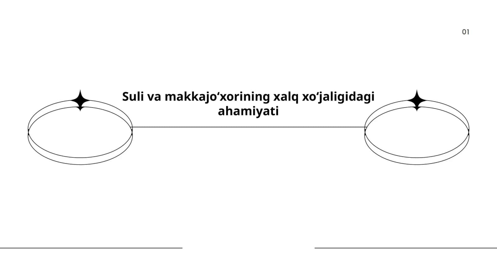 Suli va makkajo‘xori mahsulotlari