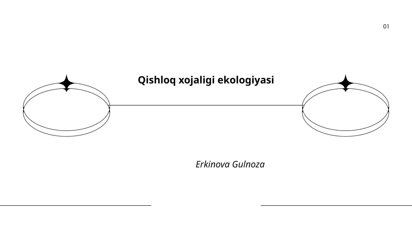 Qishloq xojaligi ekologiyasi