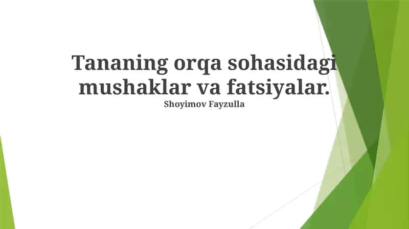 Tananing orqa sohasidagi mushaklar va fatsiyalar
