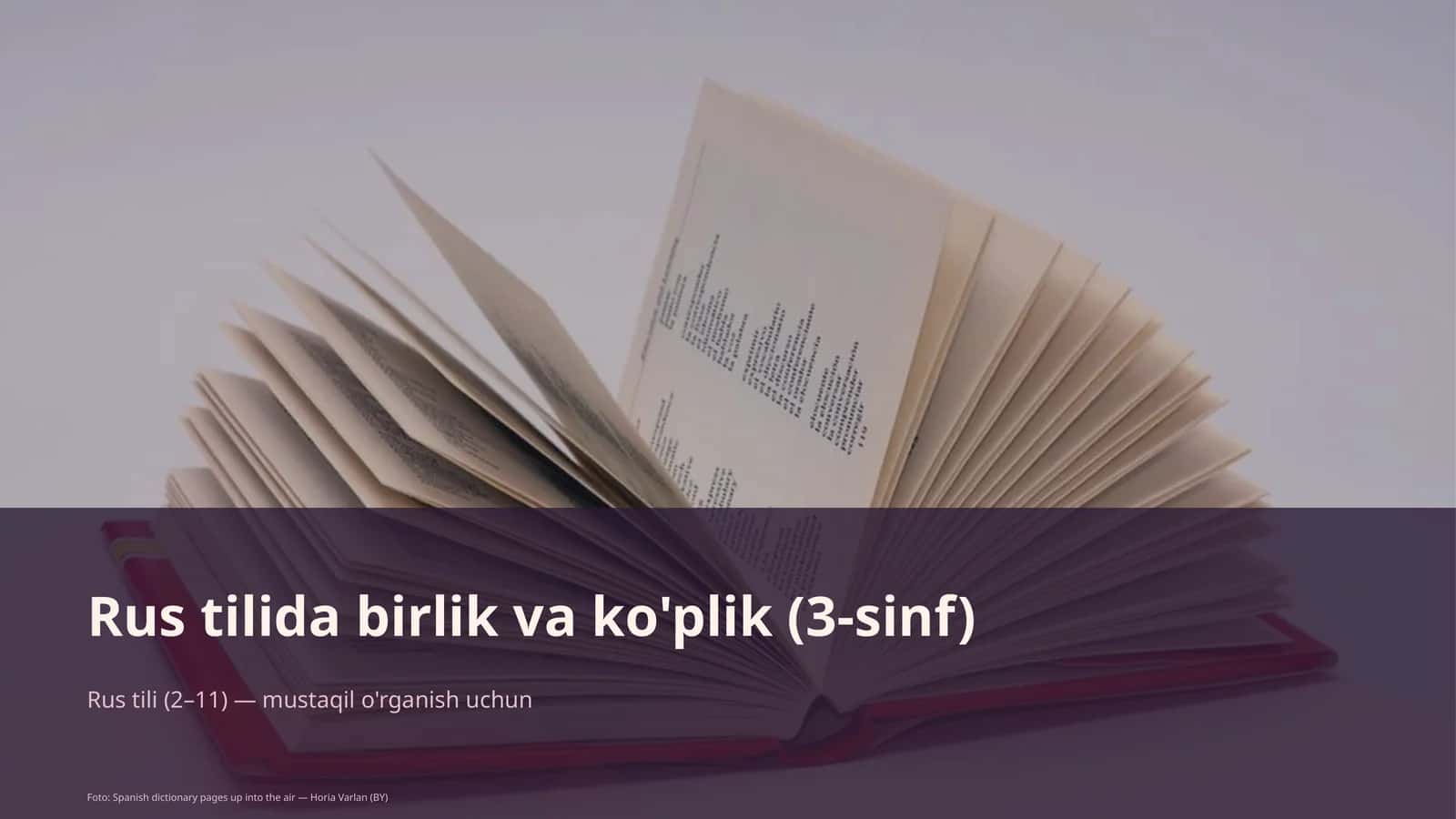 Rus tilida birlik va ko'plik (3-sinf)