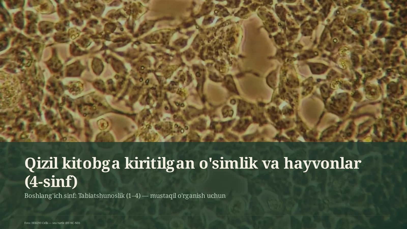 Qizil kitobga kiritilgan o'simlik va hayvonlar (4-sinf)