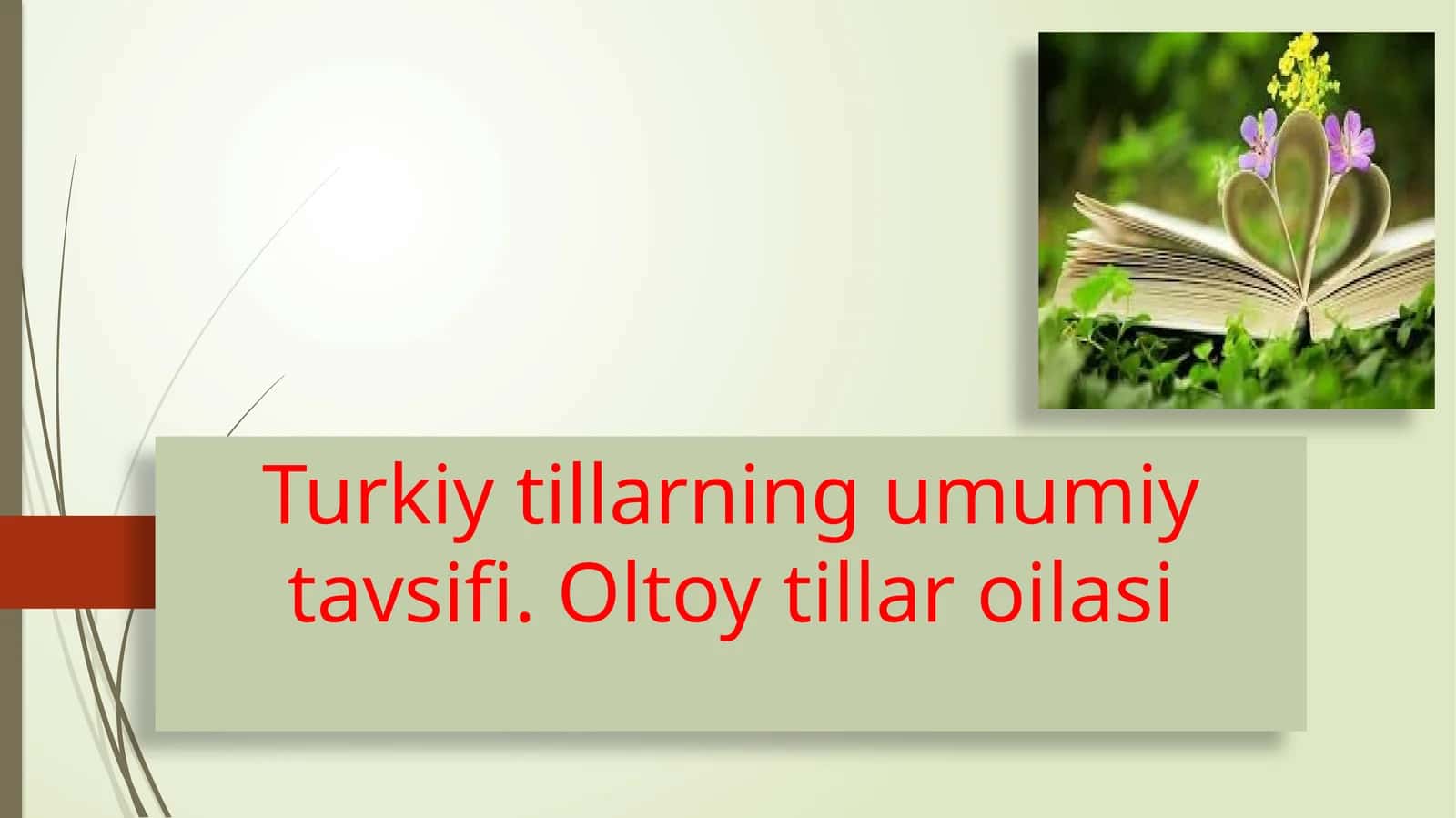 Turkiy tillarning umumiy tavsifi. Oltoy tillar oilasi