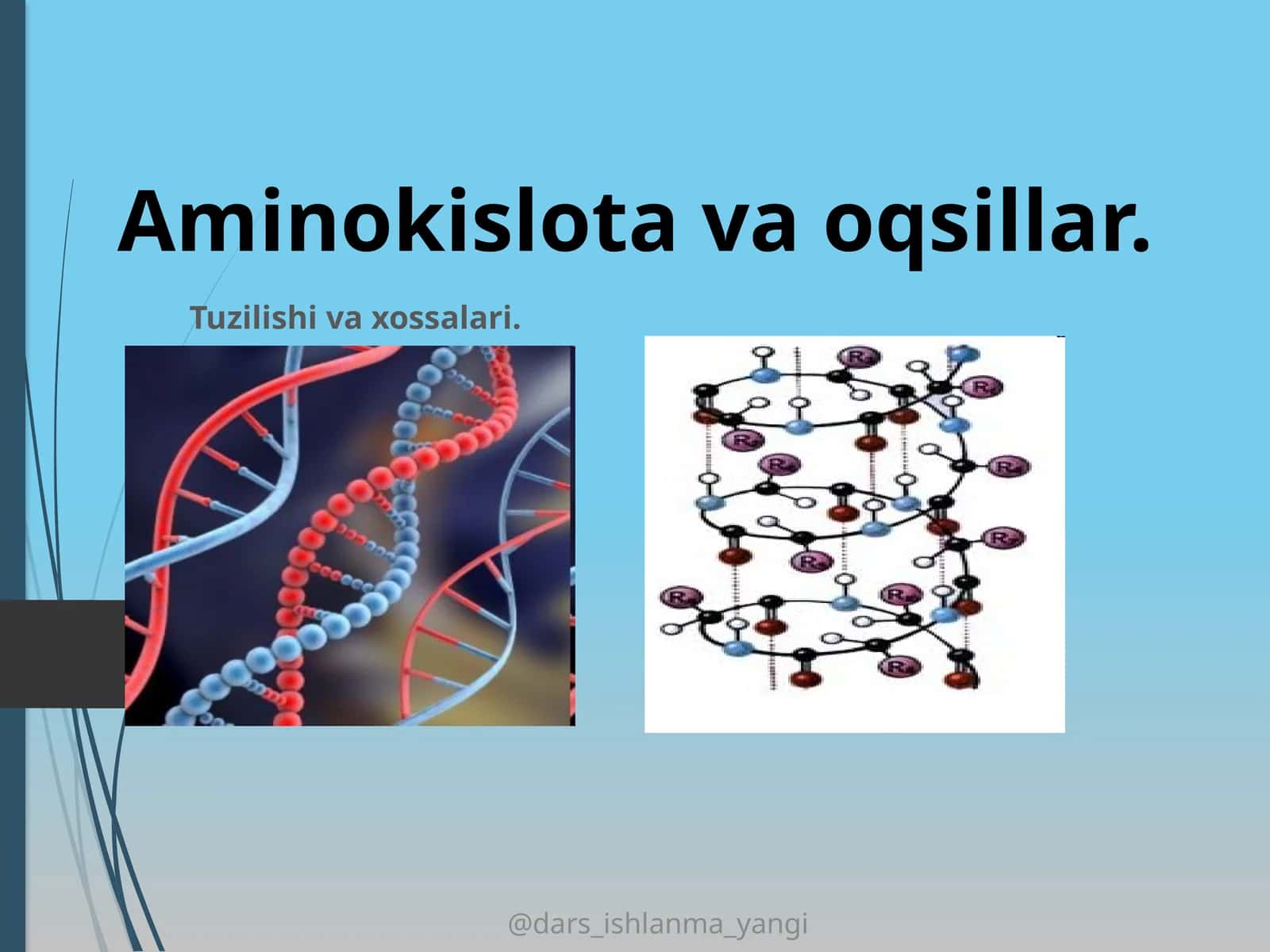Aminokislota va oqsillar