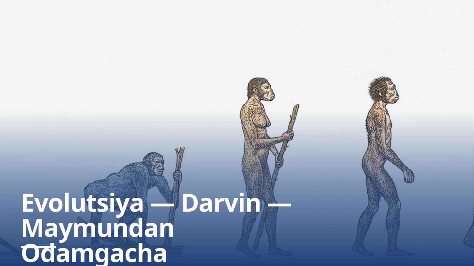 Evolutsiya — Darvin — Maymundan Odamgacha (Prezentatsiya)