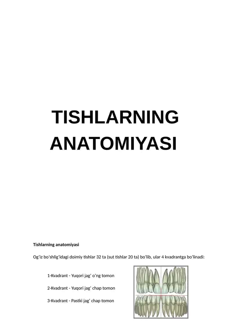 Tishlarning Anatomiyasi