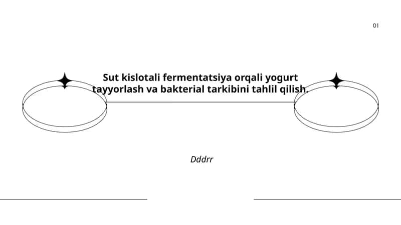 Sut Kislotali Fermentatsiya