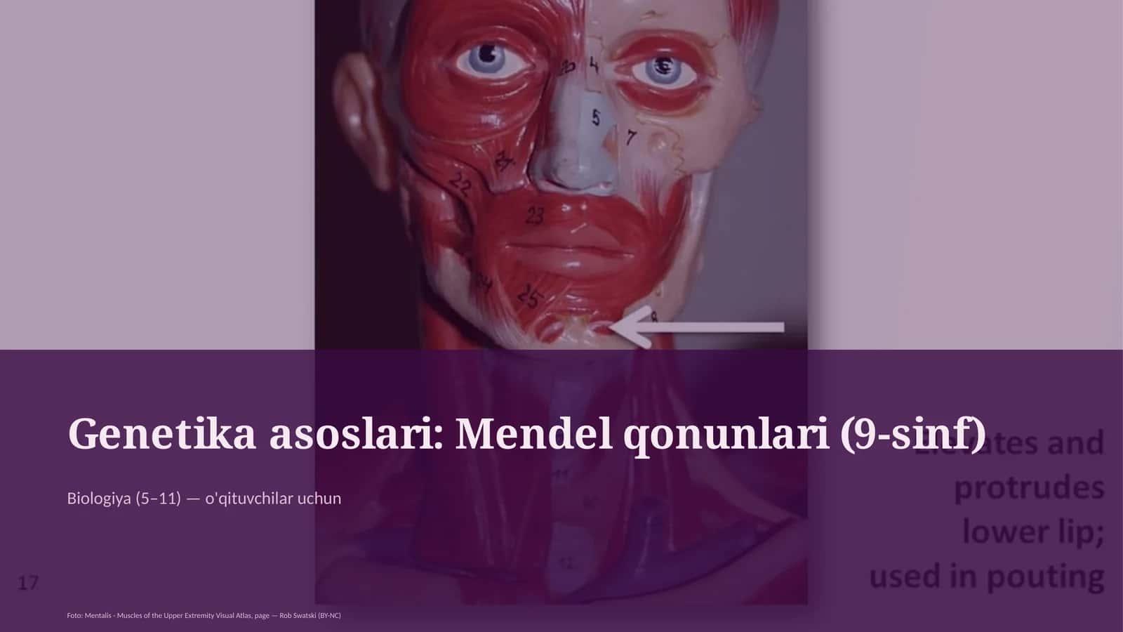 Genetika asoslari: Mendel qonunlari (9-sinf)