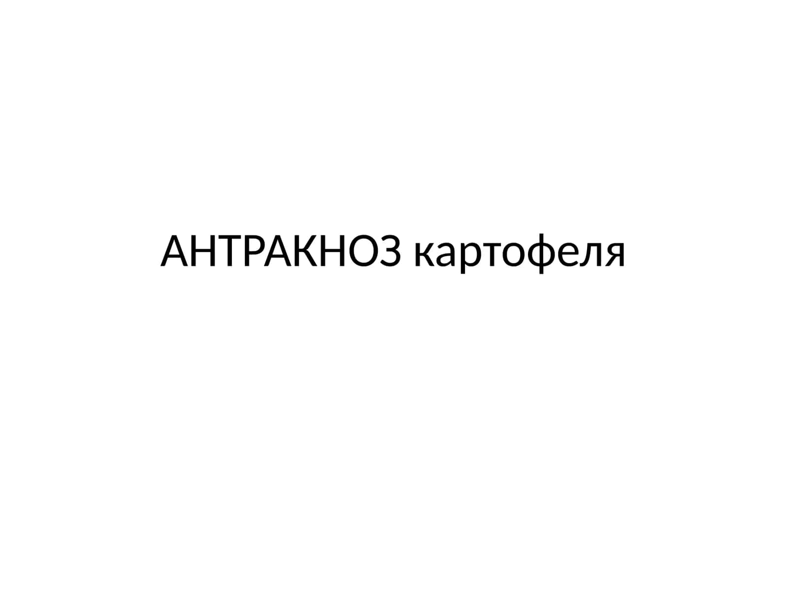 ANTRAKNOZ kartofelya