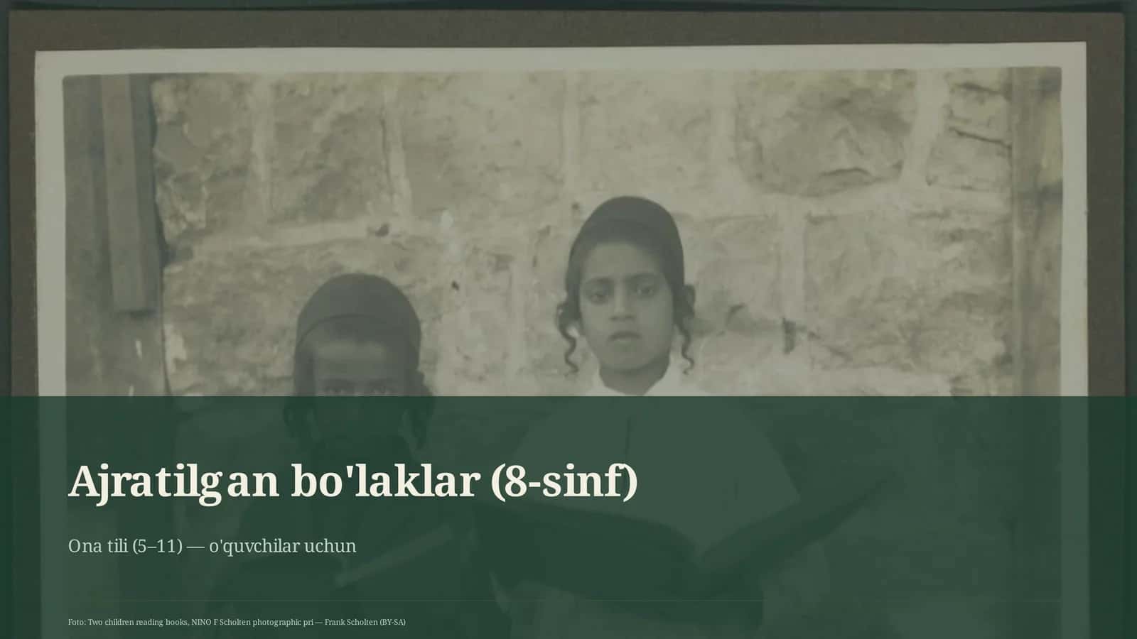 Ajratilgan bo'laklar (8-sinf)