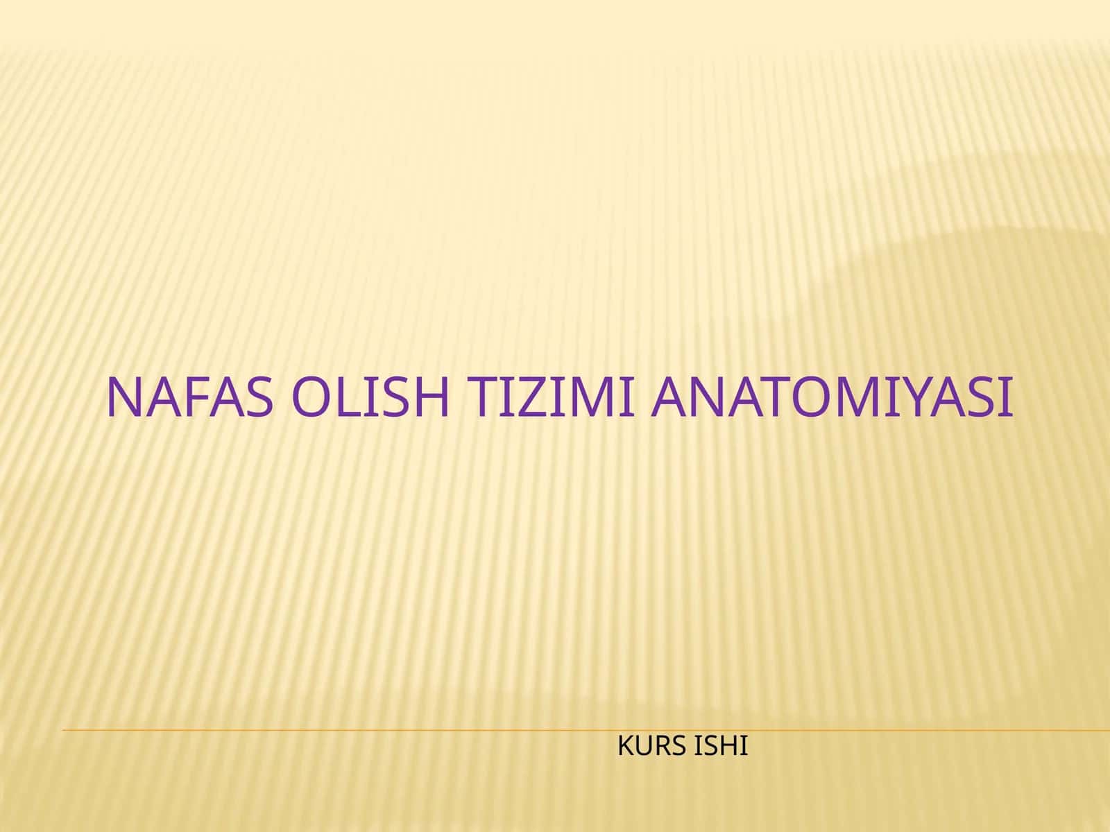 Nafas olish tizimi anatomiyasi