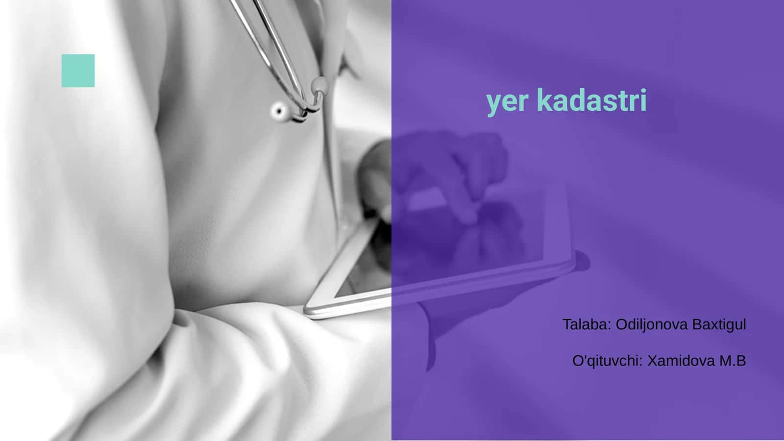 Yer kadastri