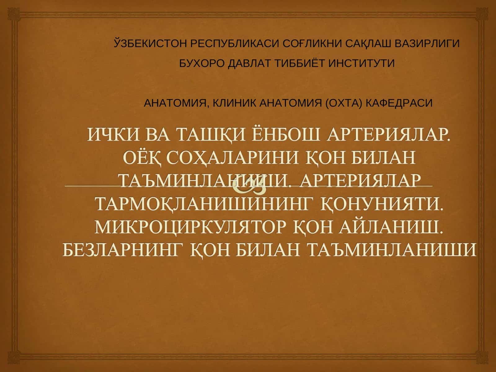 Ички ёнбош артерияси, Ташки ёнбош артерияси. Сон артерияси, Сон артериясининг тармоклари, Дум артериялари, тизза ости артерияси