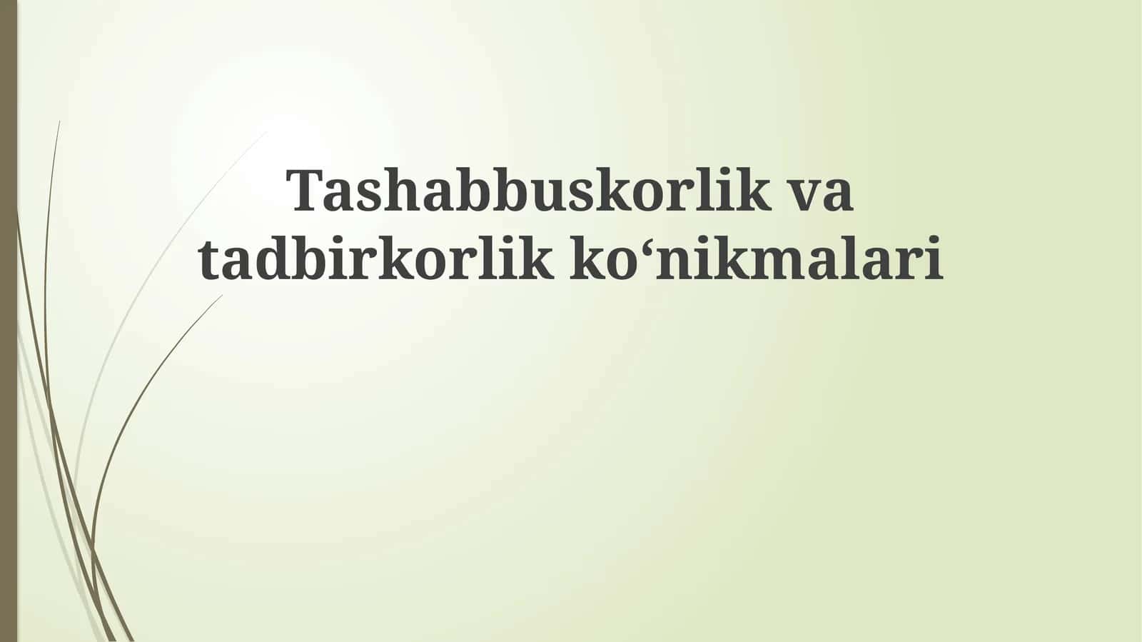 Tashabbuskorlik va tadbirkorlik koʻnikmalari