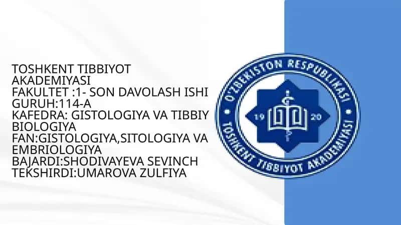 Limfotsitlar TUZILISHI