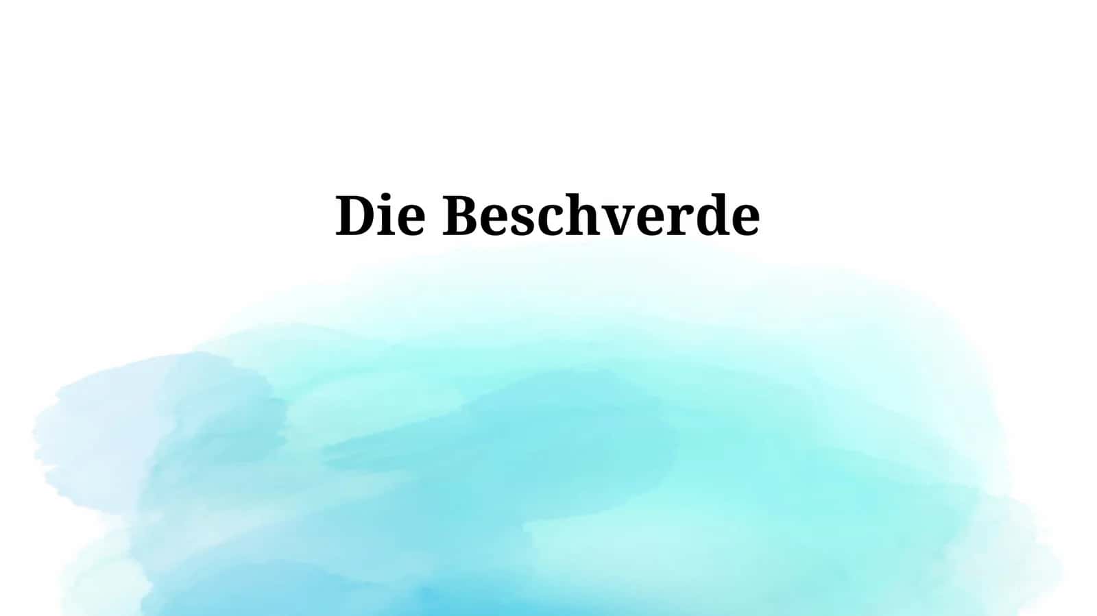 Die Beschwerde