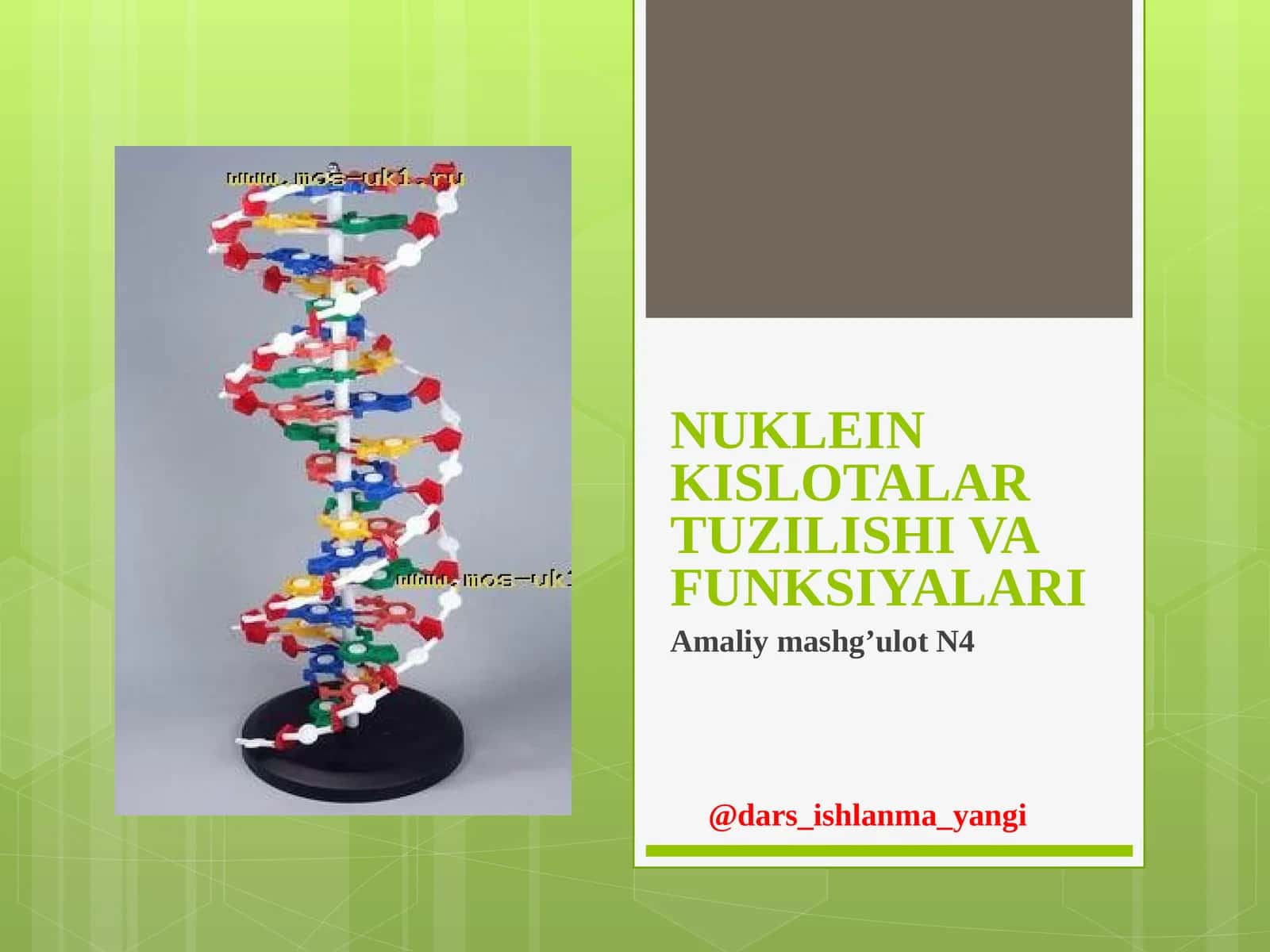 NUKLEIN KISLOTALAR TUZILISHI VA FUNKSIYALARI