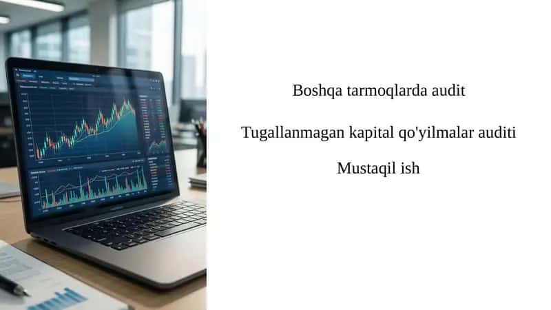 Tugallanmagan kapital qo'yilmalar auditi