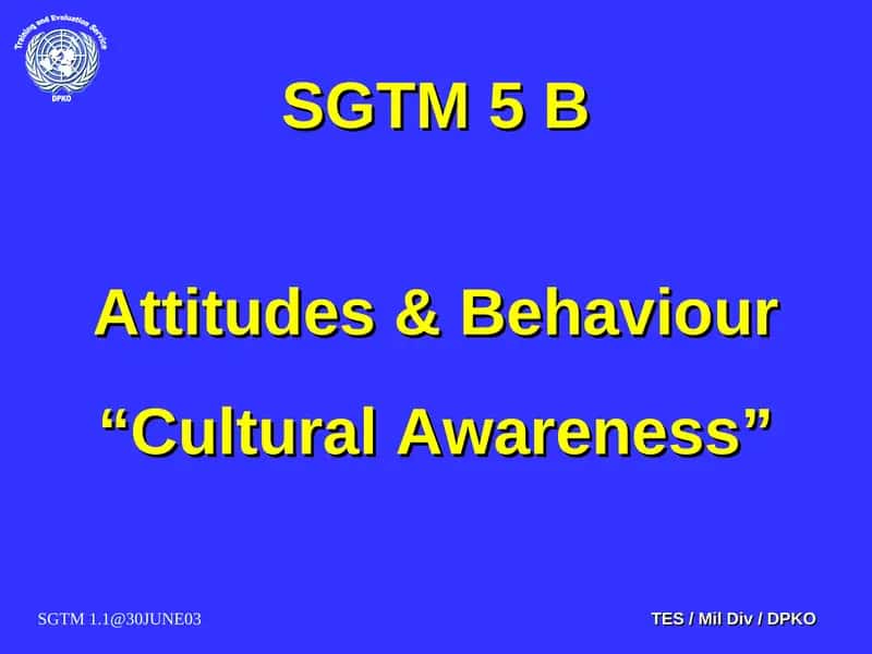Cultural Awareness