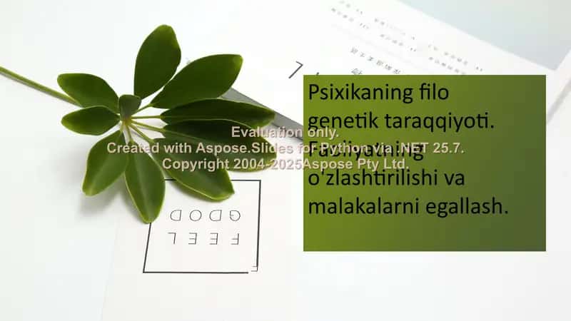 Psixikaning filo genetik taraqqiyoti